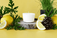 Arbor Made Citronella Nights (Enhanced Aroma) Candle Refills