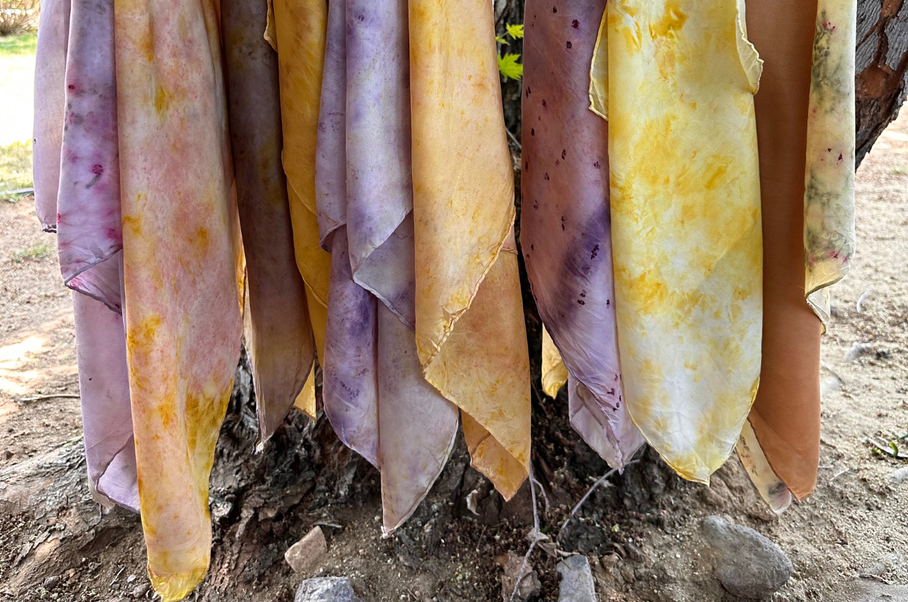 Botanical Silk Scarf Dyeing Workshop